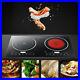 110V-Electric-Dual-Induction-Cooker-Cooktop-2400W-Countertop-Double-Burner-Top-01-wsp