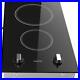 12-inch-Electric-Induction-Cooktop-Smooth-Surface-with-2-Burners-Glass-Surface-01-xznt