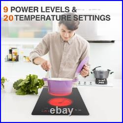 12inch Electric Radiant Cooktop Built-in 2 Burner 220V 3000W Electric Stove Top