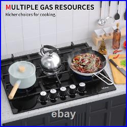 27 5 Burners Gas Cooktop Tempered Glass Panel Built-in LPG NG Hob Black Stove