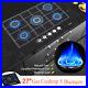 27-Gas-Cooktop-Built-in-Gas-Stove-5-Burners-Gas-cooker-LPG-NG-Convertible-11KW-01-etz
