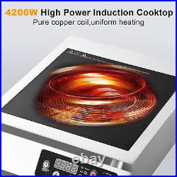 4200W Commercial Electric Induction Cooktop Touch Screen Electric Hot Plate