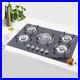 5-Burner-30-inch-Built-In-Stove-Top-LPG-NG-Gas-Cooktop-with-Flameout-protection-01-dcvr