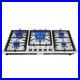 5-Burner-Gas-Cooktop-Portable-Stainless-Steel-LPG-NG-Electric-Ignition-01-dtv