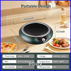 Abangdun 1700W 120V Induction Cooktop Concave Wok Portable With Pan Stove