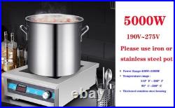 Abangdun 5000W 240V Induction Cooktop Commercial Electric Stove 2026 New Pro