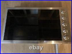 Blue Star 36 Induction Electric Glass Cooktop / Stovetop TESTING VIDEO READ