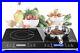 Duxtop-LCD-Portable-Double-Induction-Cooktop-1800W-Digital-Electric-Countertop-01-dx
