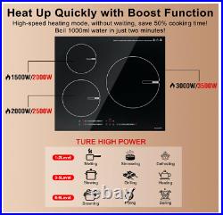 ECOTOUCH 3 Burner Induction Cooktop 24 in. Glass Ceramic INDH630B