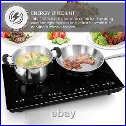 Equator 20 HORIZONTAL 2-BURNER Induction Cooktop 9 Power Builtin/Freestand 110V