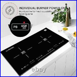 Equator 20 HORIZONTAL 2-BURNER Induction Cooktop 9 Power Builtin/Freestand 110V