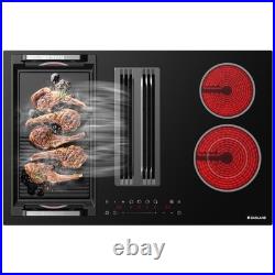 GASLAND 31.5 Downdraft Electric Cooktop Glass 4 Zone withBridge &Dual-Ring Burner