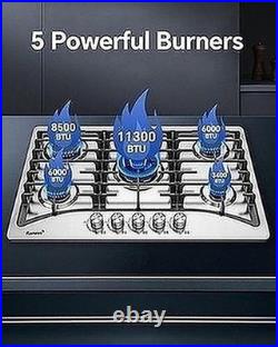 Gas Cooktop 30 Inch 5 Burner Ranein NG LPG Convertible 304 Stainless #R012