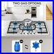 Gas-Cooktop-Built-In-5-Burner-Stainless-Steel-Gas-Hob-Gas-Stove-NG-LPG-110V-Knob-01-aiy