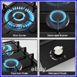 Gas Stove 2 Burner Propane Cooktop Portable Gas Cooktop Stainless Steel NG/LPG