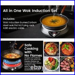 GastroGear 1700W 100V185V Induction Cooktop Wok Burner Elec Stove ETL-Certified