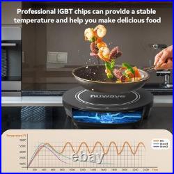 Gold Precision Induction Cooktop, Portable, Powerful with Large 8 Heating Co