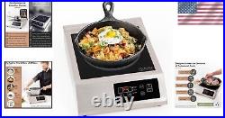 Versatile Commercial Induction Cooker with 9 Coil & 1-Year Replacement Promise